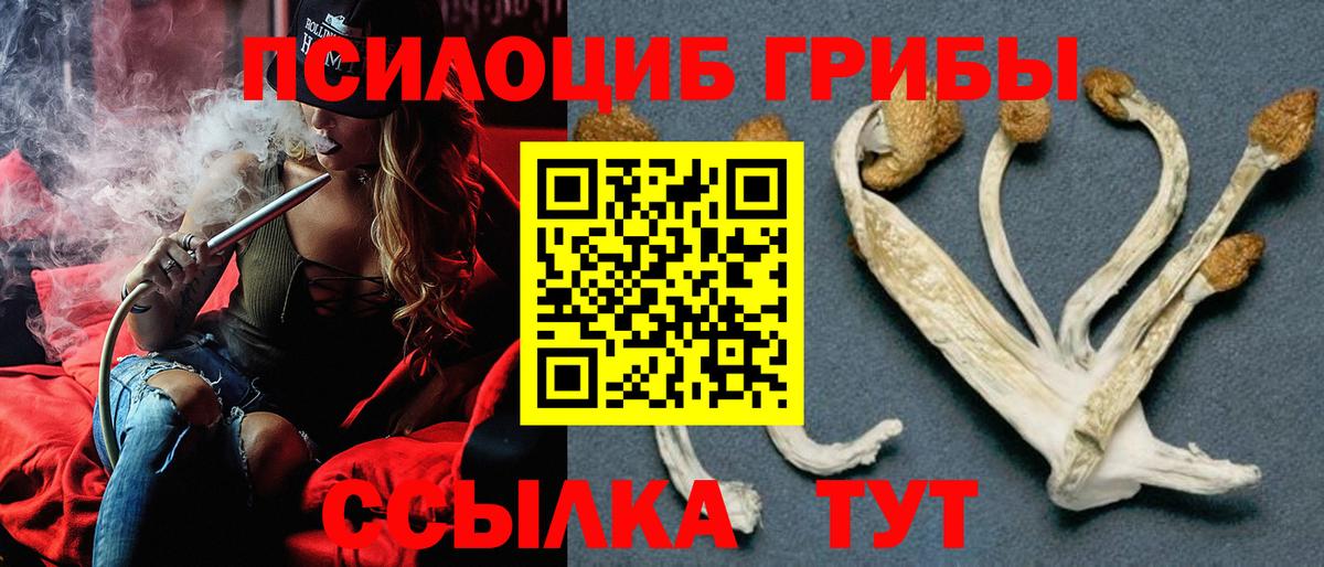 Галлюциногенные грибы GOLDEN TEACHER Белгород