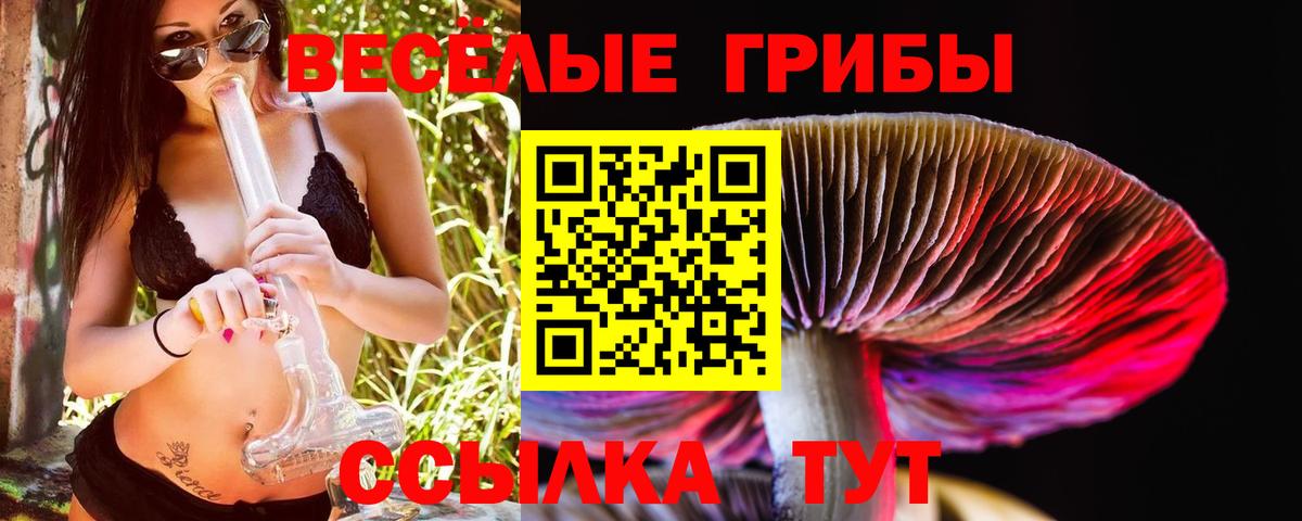 хочу   Галлюциногенные грибы Psilocybine cubensis  Вход с VPN  Псилоцибиновые грибы Magic Shrooms  Белгород 